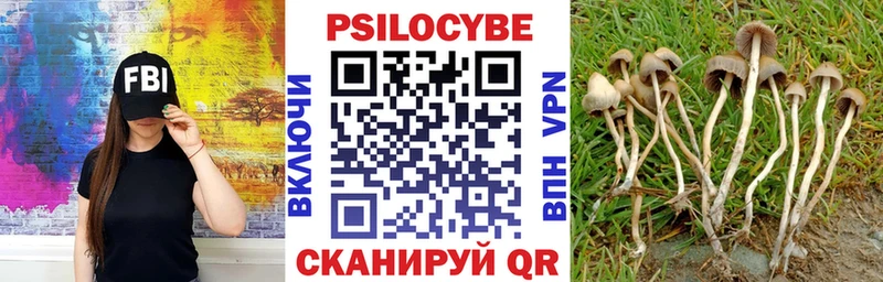 Галлюциногенные грибы Cubensis  Сорск 